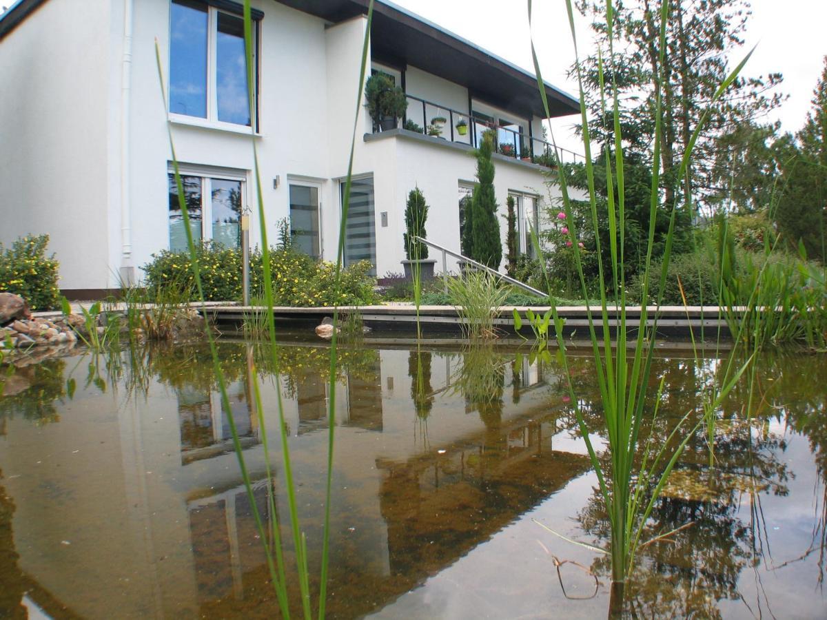 Ferienwohnung In Waldrandlage Zierenberg Exterior photo
