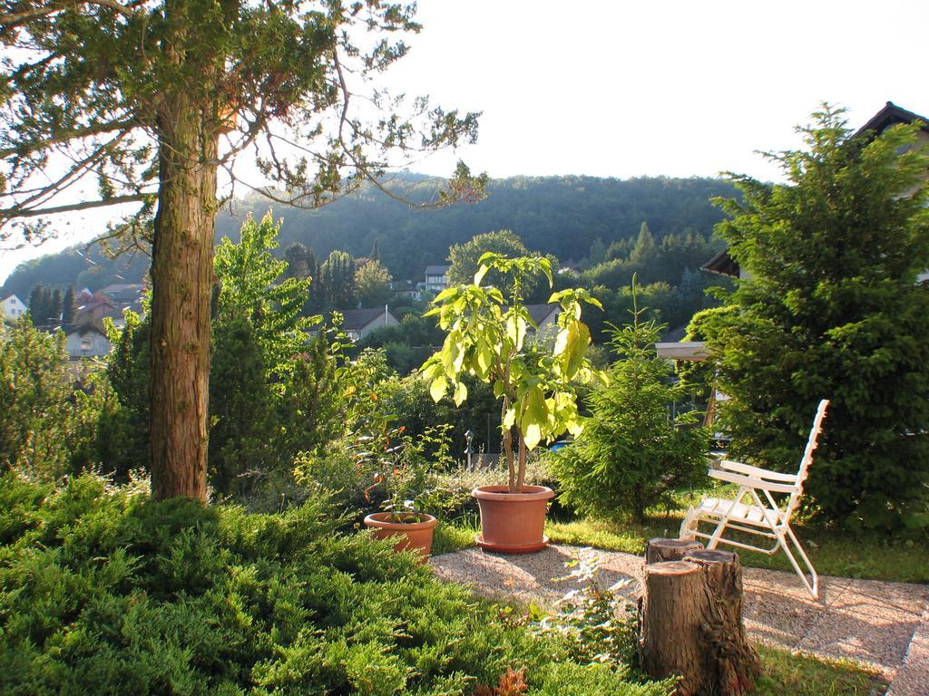 Ferienwohnung In Waldrandlage Zierenberg Exterior photo